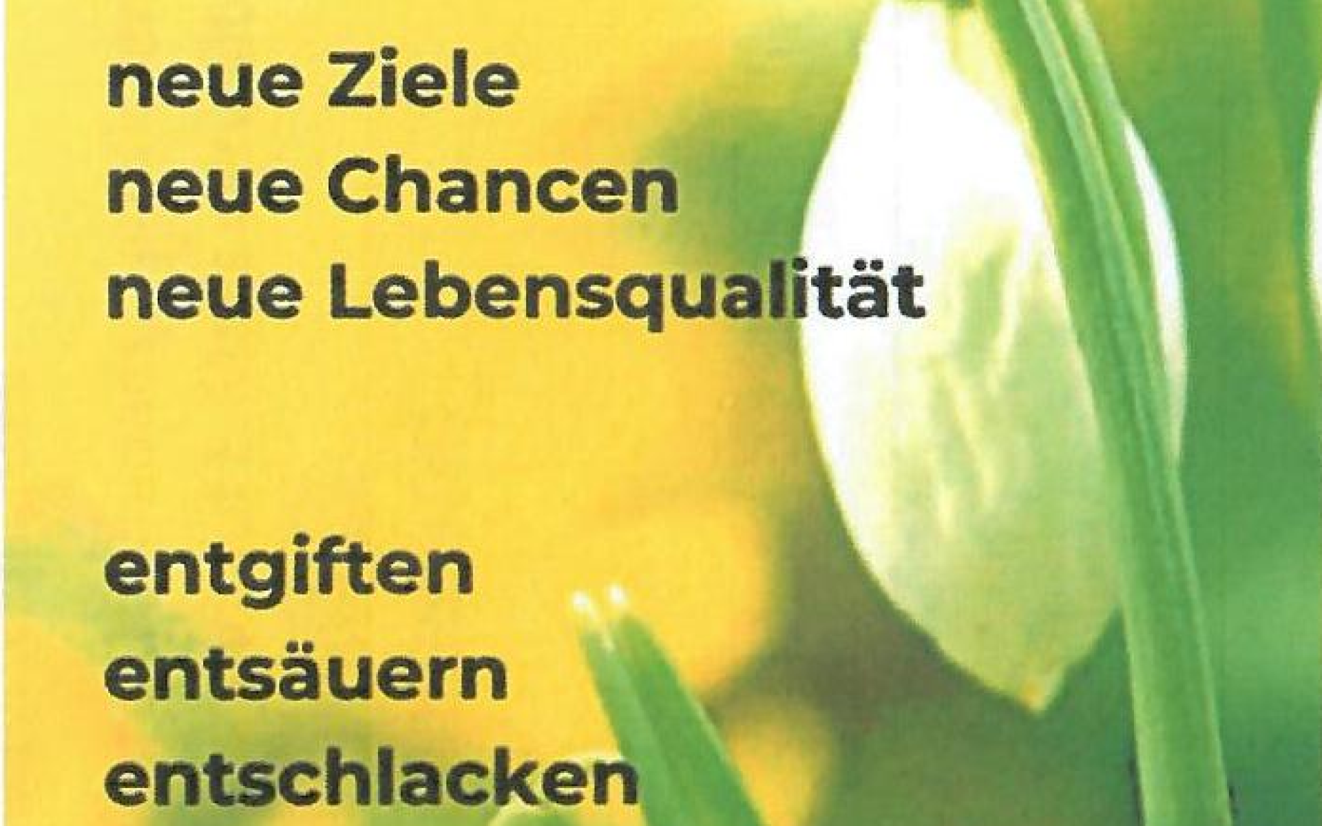 Bild Hallo Fastenzeit