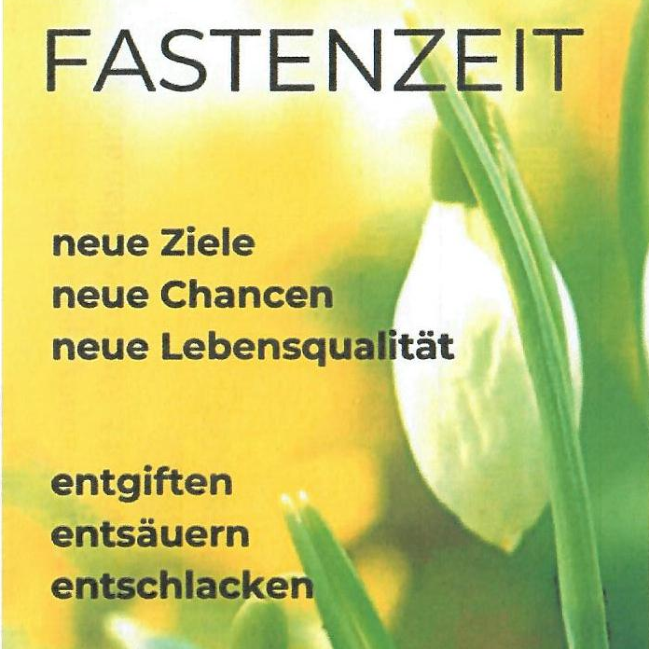 Bild Hallo Fastenzeit